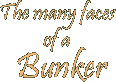 bunkers