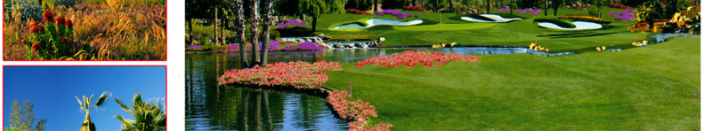 Golf Resort at Indian Wells